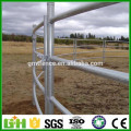 GM High quality hot sale galvanized pipe cattle fence